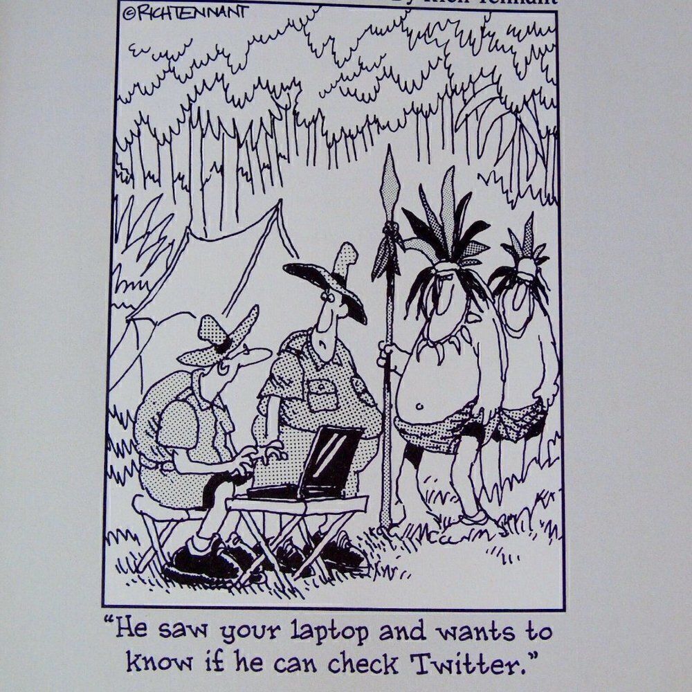 Book Bundle Twitter for Dummies  Advertising - Picture 5 of 9